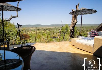 Madikwe Game Reserve bushveld Molori Safari Lodge North West Province South Africa