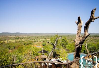 Molori Safari Lodge among Africa's finest luxury lodges Madikwe Game Reserve South Africa