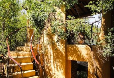 Molori Safari Lodge among Africa's finest luxury lodges Madikwe Game Reserve South Africa