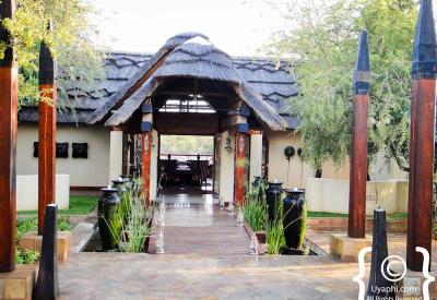 Jamala Madikwe bar cold beers Madikwe Game Reserve South Africa