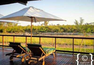 Open vehicle Big Five game drive Jamala Madikwe Madikwe Game Reserve South Africa