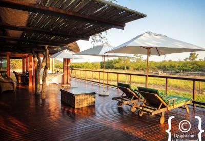 Big Five wildlife sighting Jamala Madikwe Madikwe Game Reserve South Africa