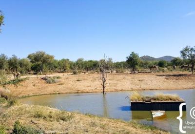 Birdlife smaller wildlife Jaci's Terrapin Hide photographic hide Madikwe South Africa