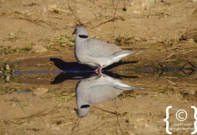 Inside Jaci's Terrapin Hide camera mounts waterhole windows Madikwe South Africa