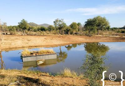 Elephant feet at waterhole water level Jaci's Terrapin Hide Madikwe South Africa