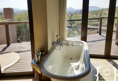 Open 4x4 game drive Impodimo Game Lodge Madikwe Game Reserve South Africa