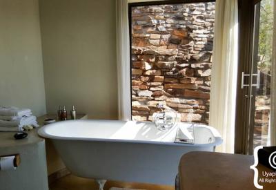 Madikwe bushveld scenery Impodimo Game Lodge North West Province South Africa