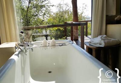 Sundowner Impodimo Game Lodge Madikwe Game Reserve malaria-free South Africa