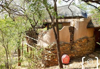 Big Five game drive sighting Impodimo Game Lodge Madikwe Game Reserve South Africa