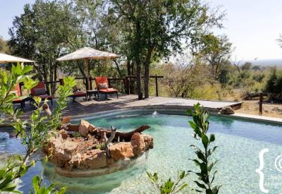 Impodimo Game Lodge wild lodge Madikwe Game Reserve North West Province South Africa