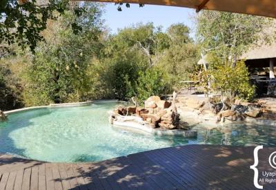 Impodimo Game Lodge wild lodge Madikwe Game Reserve North West Province South Africa