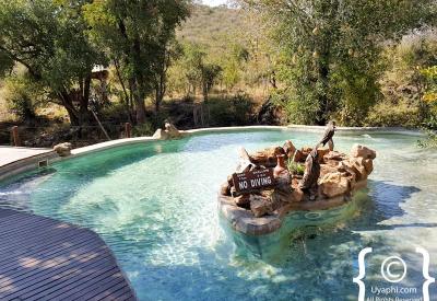 Impodimo Game Lodge wild lodge Madikwe Game Reserve North West Province South Africa
