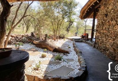 Impodimo Game Lodge superb malaria-free safari Madikwe Game Reserve South Africa