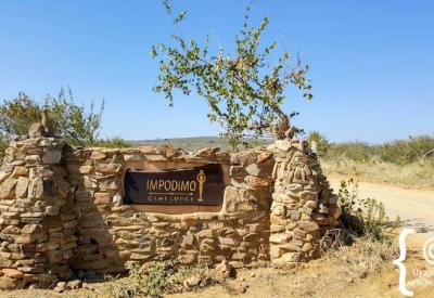 Impodimo Game Lodge superb malaria-free safari Madikwe Game Reserve South Africa