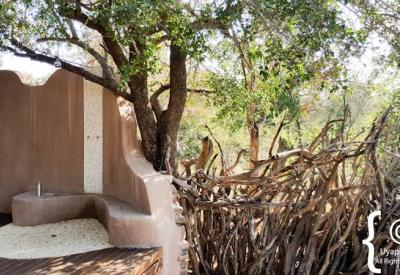 Impodimo Game Lodge private suite deck Madikwe Game Reserve North West South Africa