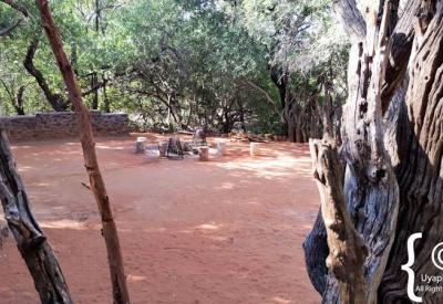 Jaci's Safari Lodge swimming pool family-friendly Madikwe Game Reserve South Africa
