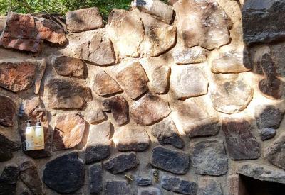Jaci's Safari Lodge swimming pool family-friendly Madikwe Game Reserve South Africa