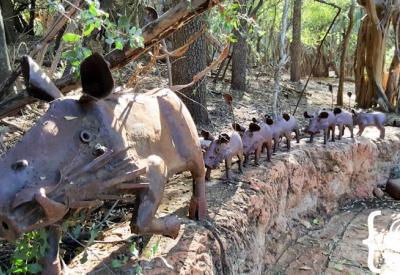 Jaci's Safari Lodge spa Madikwe Game Reserve malaria-free South Africa