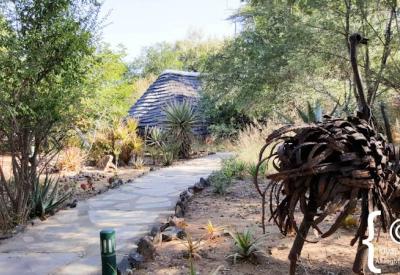 Jaci's Safari Lodge spa Madikwe Game Reserve malaria-free South Africa