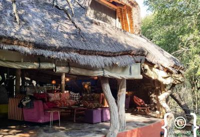 Jaci's Safari Lodge open-air gym Madikwe Game Reserve South Africa