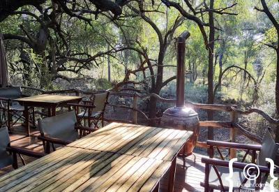 Jaci's Safari Lodge main lodge bar gin selection Madikwe Game Reserve South Africa