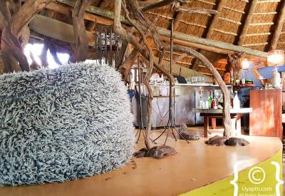 Jaci's Safari Lodge fine dining brunch dinner Madikwe Game Reserve South Africa