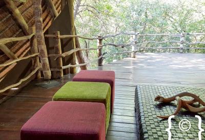 Family Big Five game drive Jaci's Safari Lodge Madikwe Game Reserve South Africa