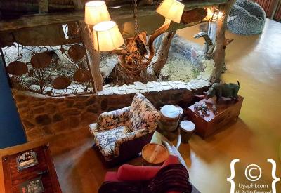 Family Big Five game drive Jaci's Safari Lodge Madikwe Game Reserve South Africa