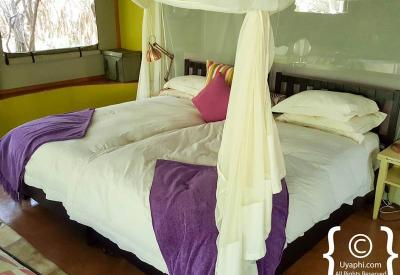 Jaci's Safari Lodge positioned between two rivers Madikwe Game Reserve South Africa