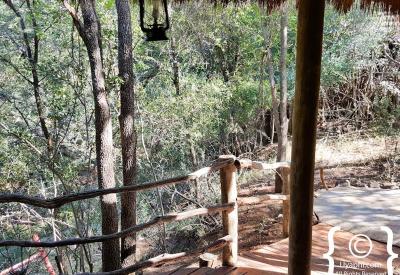 Big Five wildlife sighting Jaci's Safari Lodge Madikwe Game Reserve South Africa
