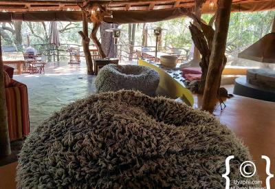 Big Five wildlife sighting Jaci's Safari Lodge Madikwe Game Reserve South Africa