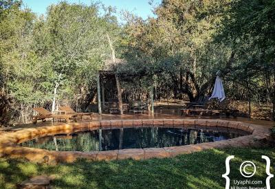 Jaci's Tree Lodge on stilts interlinking walkways Madikwe Game Reserve South Africa