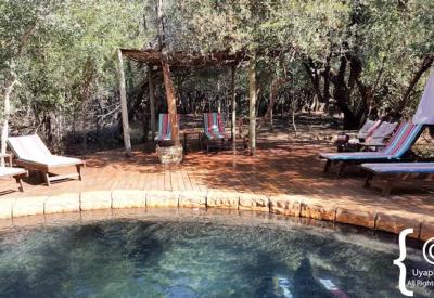 Jaci's Tree Lodge en-suite bath positioned for bush views Madikwe Game Reserve South Africa