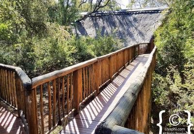 Jaci's Tree Lodge outdoor shower suite Madikwe Game Reserve malaria-free South Africa