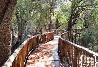 Jaci's Tree Lodge main lodge open fireplace bar dining Madikwe Game Reserve South Africa
