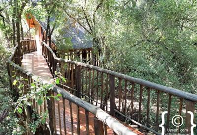 Jaci's Tree Lodge main lodge open fireplace bar dining Madikwe Game Reserve South Africa