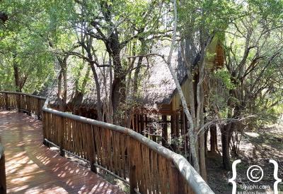 Jaci's Tree Lodge outdoor fire pit welcome drinks Madikwe Game Reserve South Africa