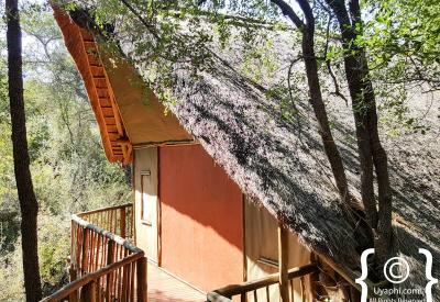 Jaci's Tree Lodge outdoor fire pit welcome drinks Madikwe Game Reserve South Africa