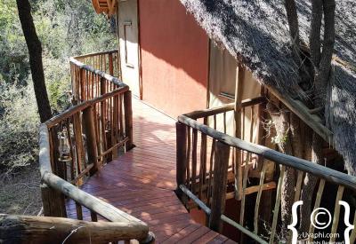 Jaci's Tree Lodge three-course dinner fine cuisine Madikwe Game Reserve South Africa