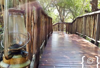 Jaci's Tree Lodge three-course dinner fine cuisine Madikwe Game Reserve South Africa