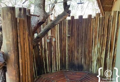 Jaci's Tree Lodge swimming pool Madikwe Game Reserve malaria-free South Africa