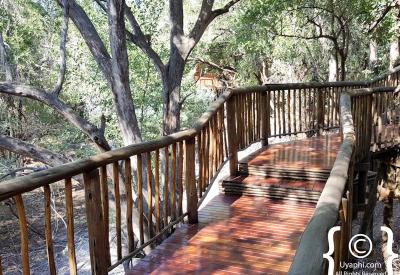 Terrapin Hide Jaci's Tree Lodge Madikwe Game Reserve South Africa