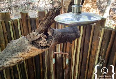 Terrapin Hide Jaci's Tree Lodge Madikwe Game Reserve South Africa