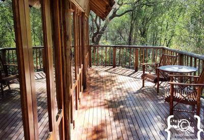 Star Bed overnight Jaci's Tree Lodge Madikwe Game Reserve South Africa