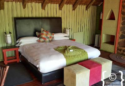 Open vehicle Big Five game drive Jaci's Tree Lodge Madikwe Game Reserve South Africa