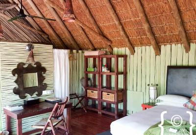 Open vehicle Big Five game drive Jaci's Tree Lodge Madikwe Game Reserve South Africa