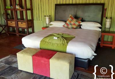 Big Five wildlife sighting Jaci's Tree Lodge Madikwe Game Reserve South Africa