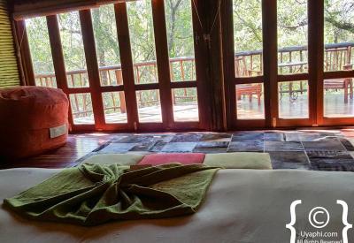 Elevated wooden walkway between suites Jaci's Tree Lodge Madikwe Game Reserve South Africa