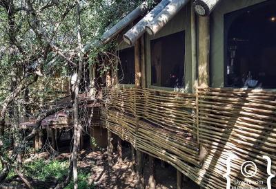 Forest river scenery Jaci's Tree Lodge Madikwe Game Reserve North West South Africa