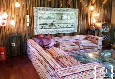 Forest river scenery Jaci's Tree Lodge Madikwe Game Reserve North West South Africa